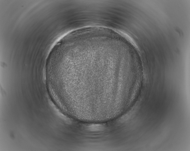 X0000090620839200708071223