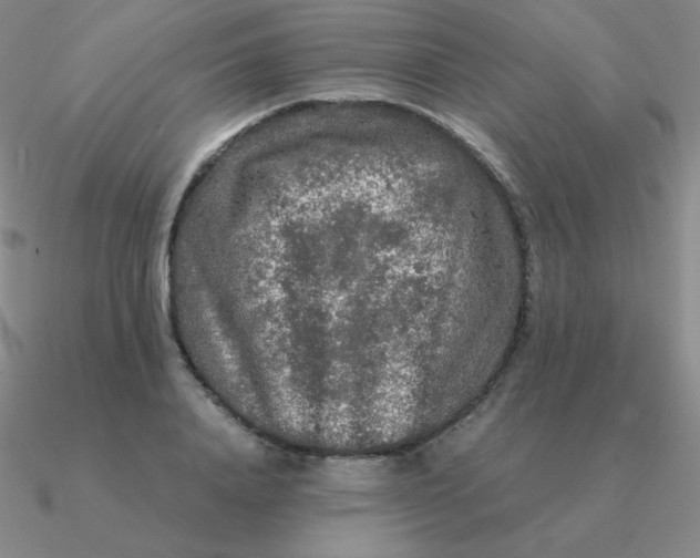 X0000090620840200708071223