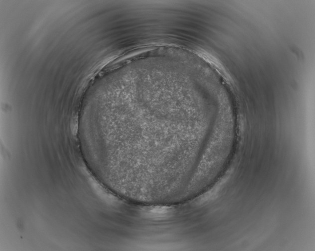 X0000090620841200708071223