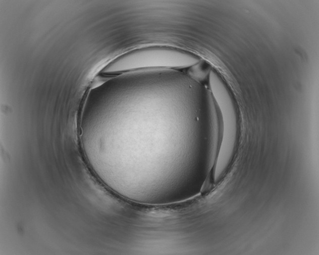 X0000090620842200708071223