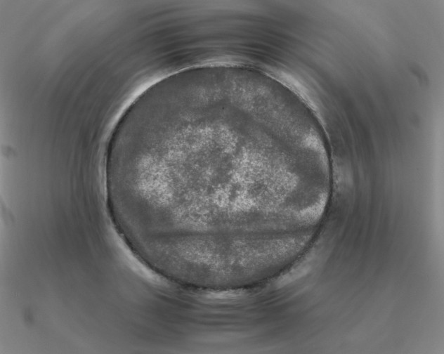 X0000090620843200708071223