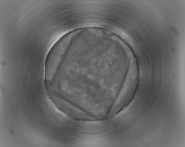 X0000090620844200708071223