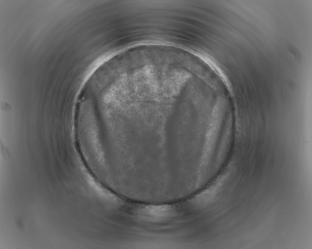 X0000090620845200708071223