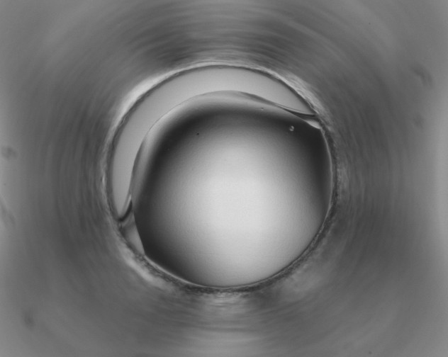 X0000090620846200708071223