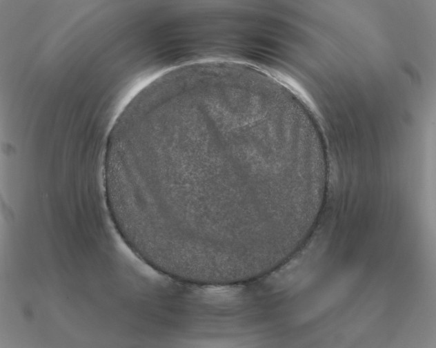 X0000090620847200708071223