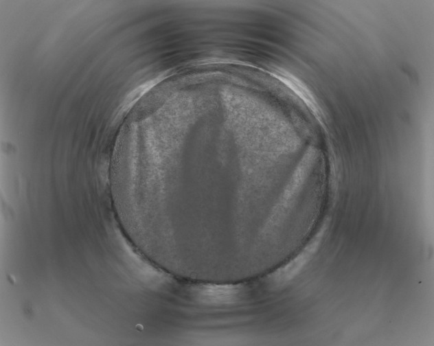 X0000090620849200708071223