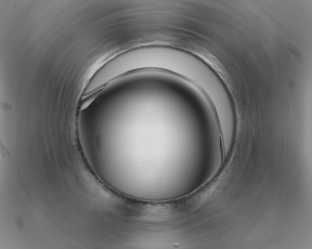 X0000090620850200708071223