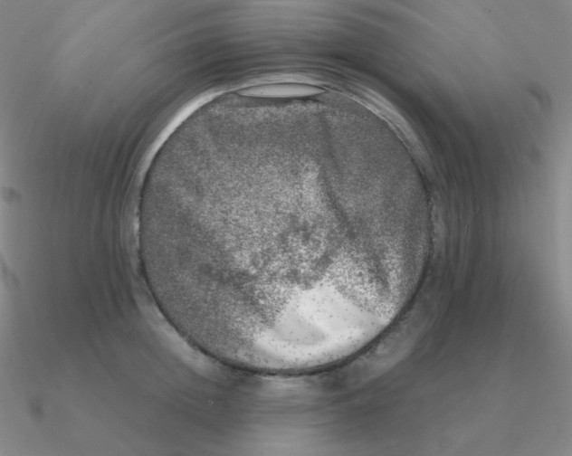 X0000090620852200708071223