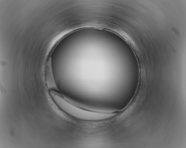 X0000090620854200708071223