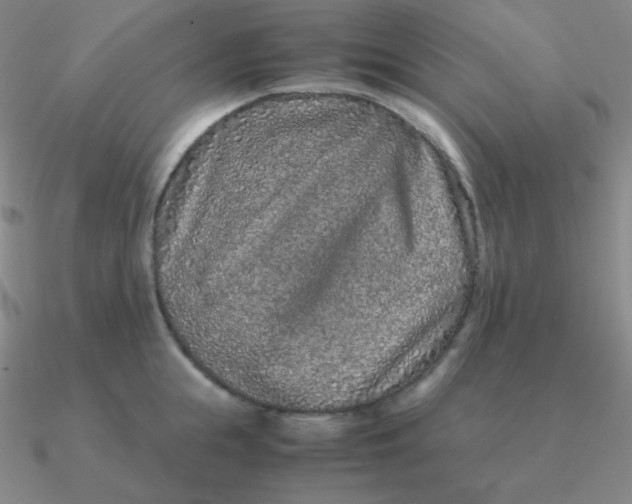 X0000090620855200708071223