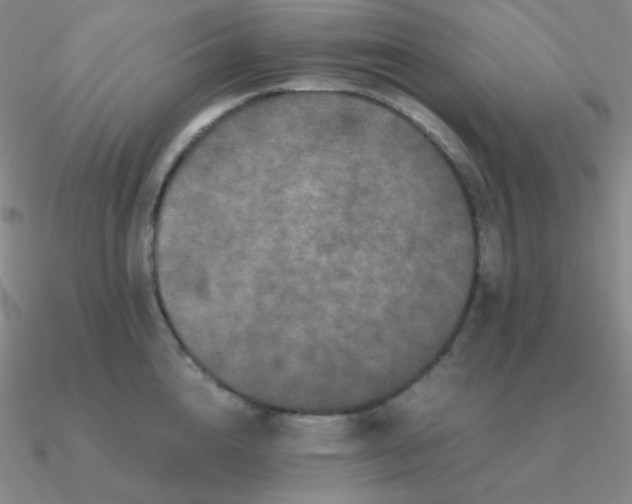 X0000090620856200708071223