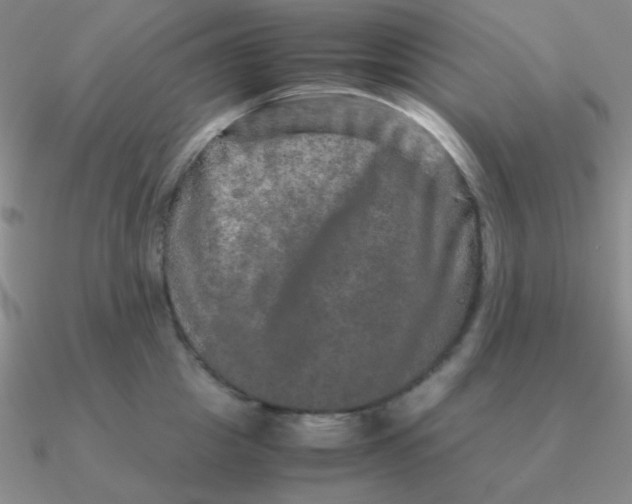 X0000090620857200708071223