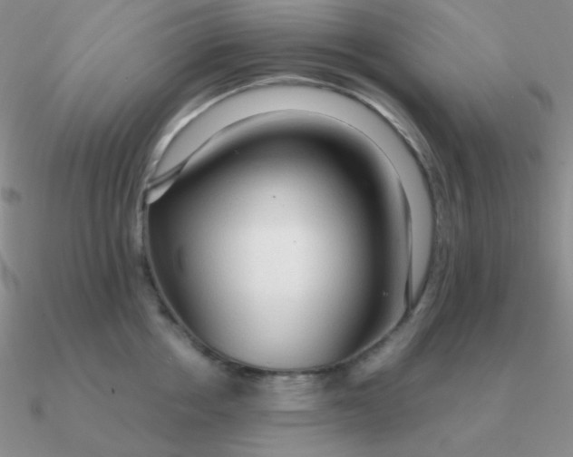 X0000090620858200708071223