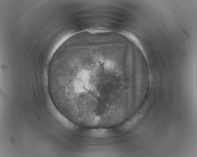 X0000090620859200708071223