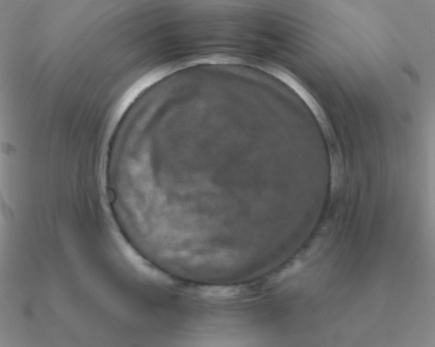 X0000090620861200708071223