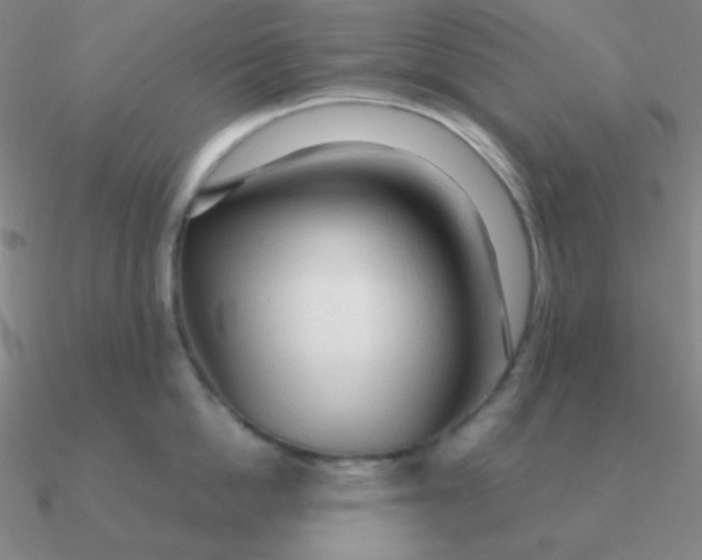 X0000090620862200708071223