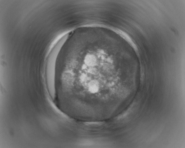 X0000090620863200708071223