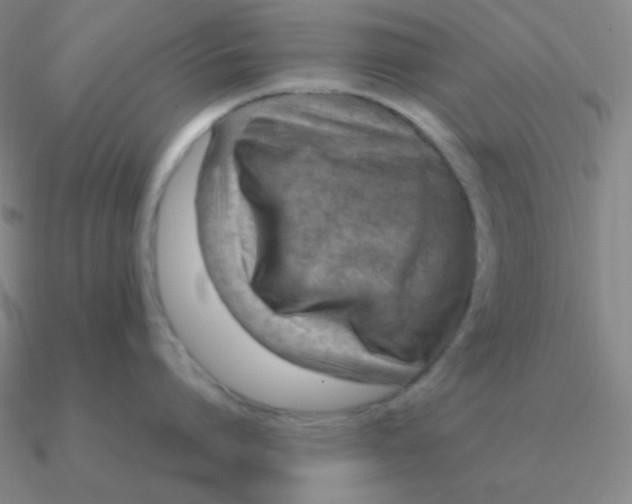 X0000090620864200708071223