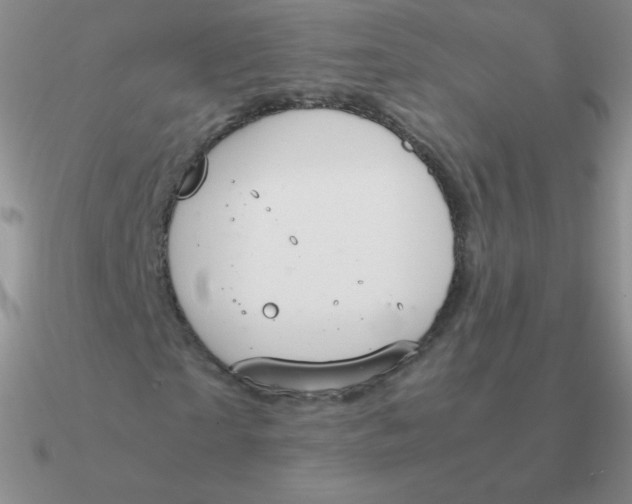 X0000090620865200708071222