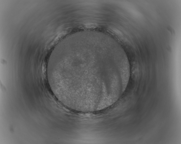 X0000090620866200708071222