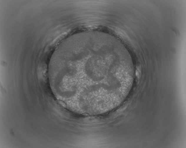 X0000090620867200708071222