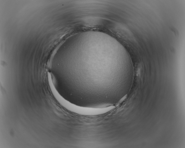 X0000090620868200708071222