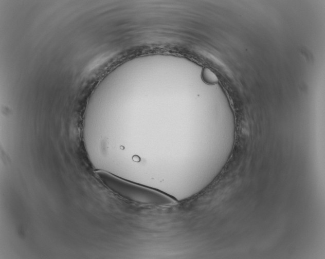 X0000090620869200708071222