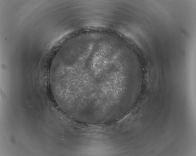 X0000090620870200708071222