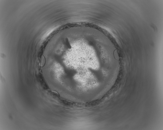 X0000090620871200708071222