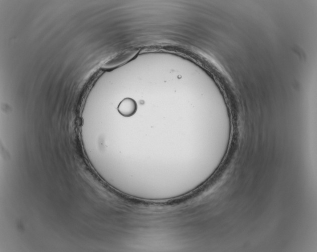 X0000090620873200708071222