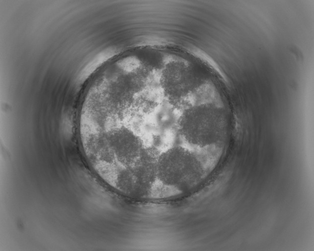 X0000090620874200708071222