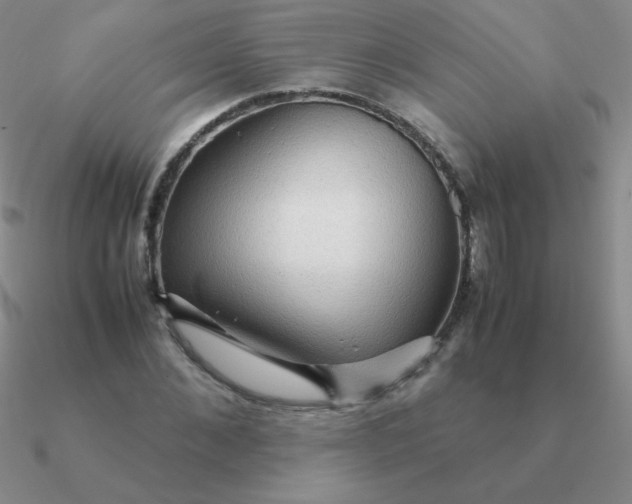 X0000090620876200708071222