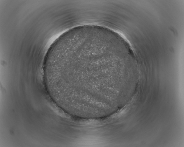 X0000090620879200708071222