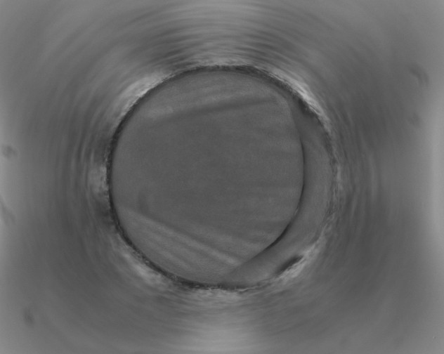 X0000090620881200708071222