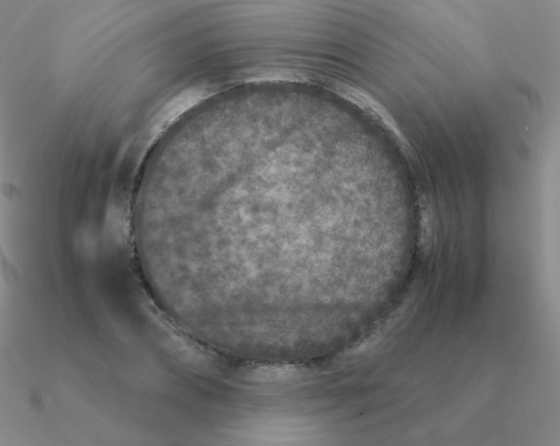 X0000090620882200708071222