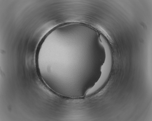 X0000090620884200708071222