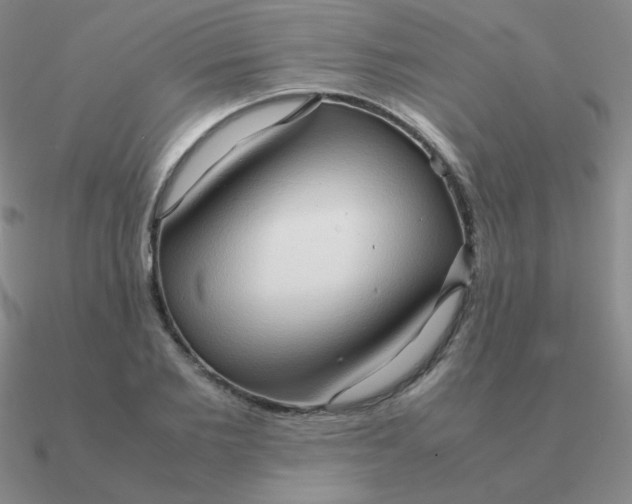 X0000090620885200708071222