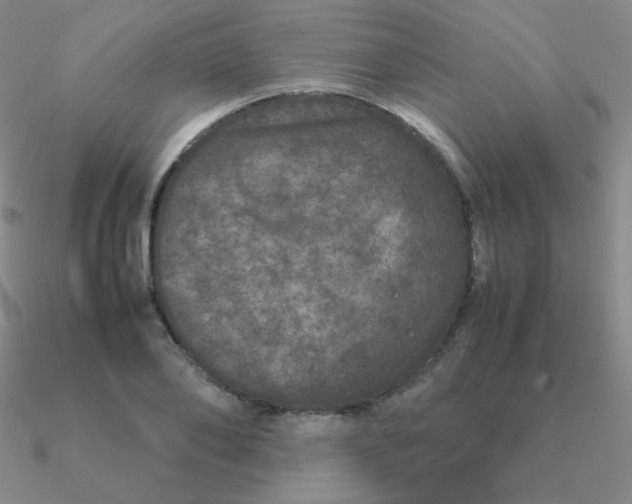 X0000090620886200708071222