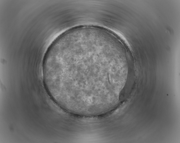 X0000090620887200708071222