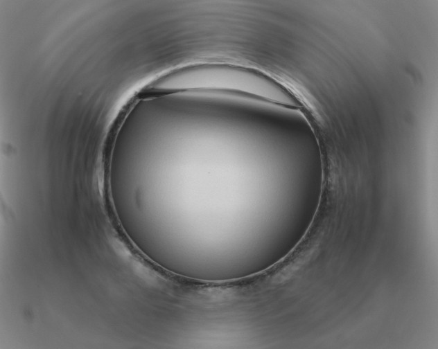 X0000090620888200708071222