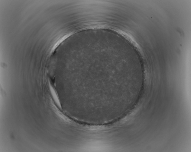 X0000090620889200708071222