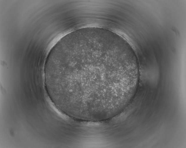 X0000090620890200708071222