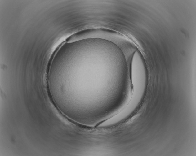 X0000090620893200708071222