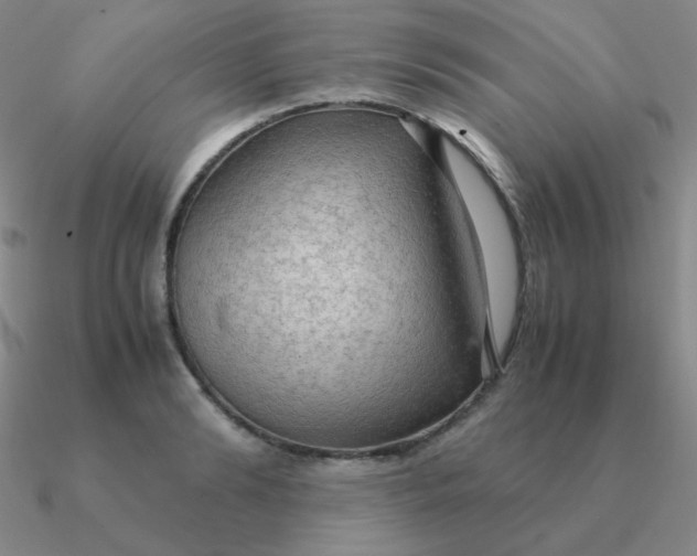 X0000090620894200708071222