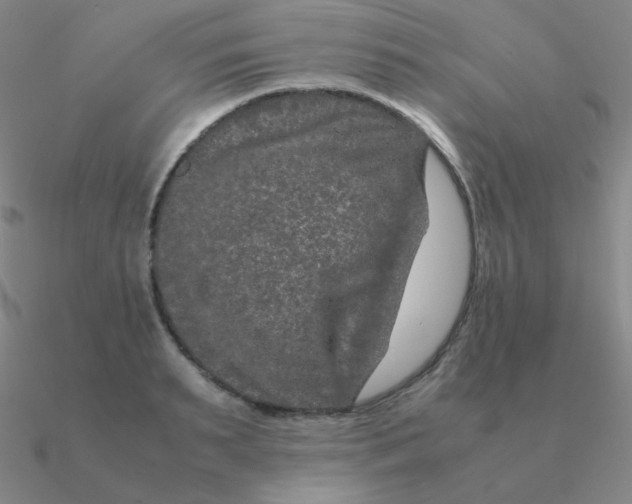 X0000090620895200708071222