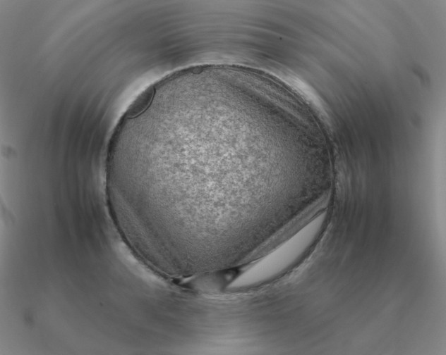 X0000090620896200708071222