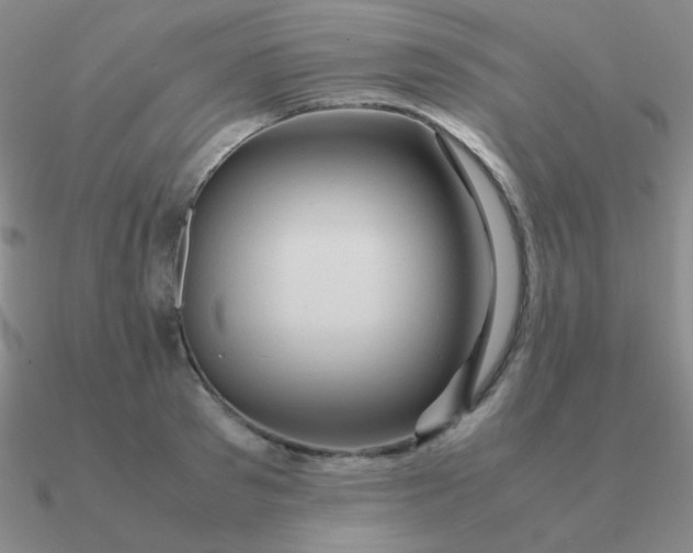 X0000090620897200708071222