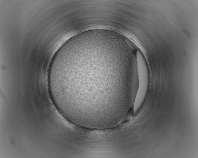 X0000090620898200708071222