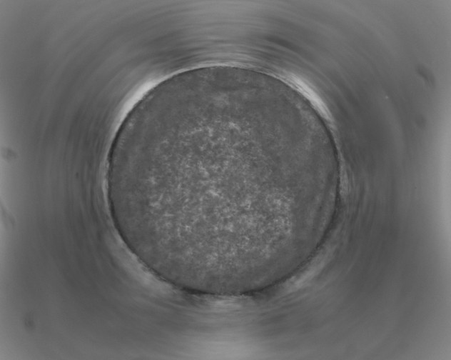 X0000090620899200708071222