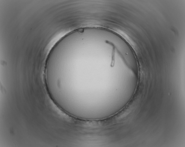 X0000090620901200708071222